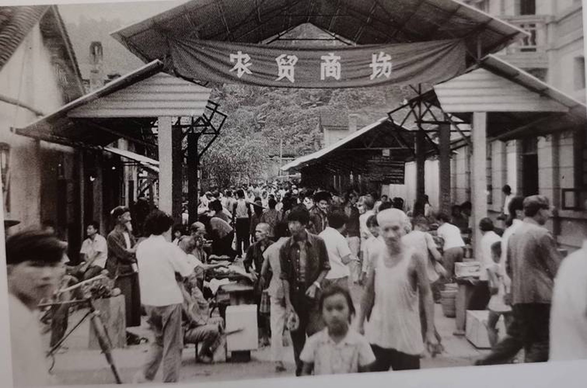 省核古董收藏